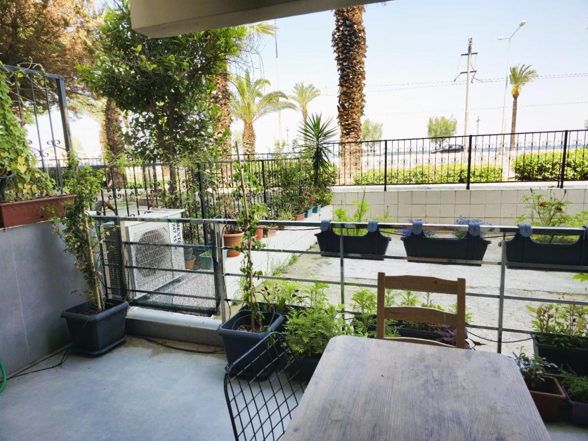 Appartement House